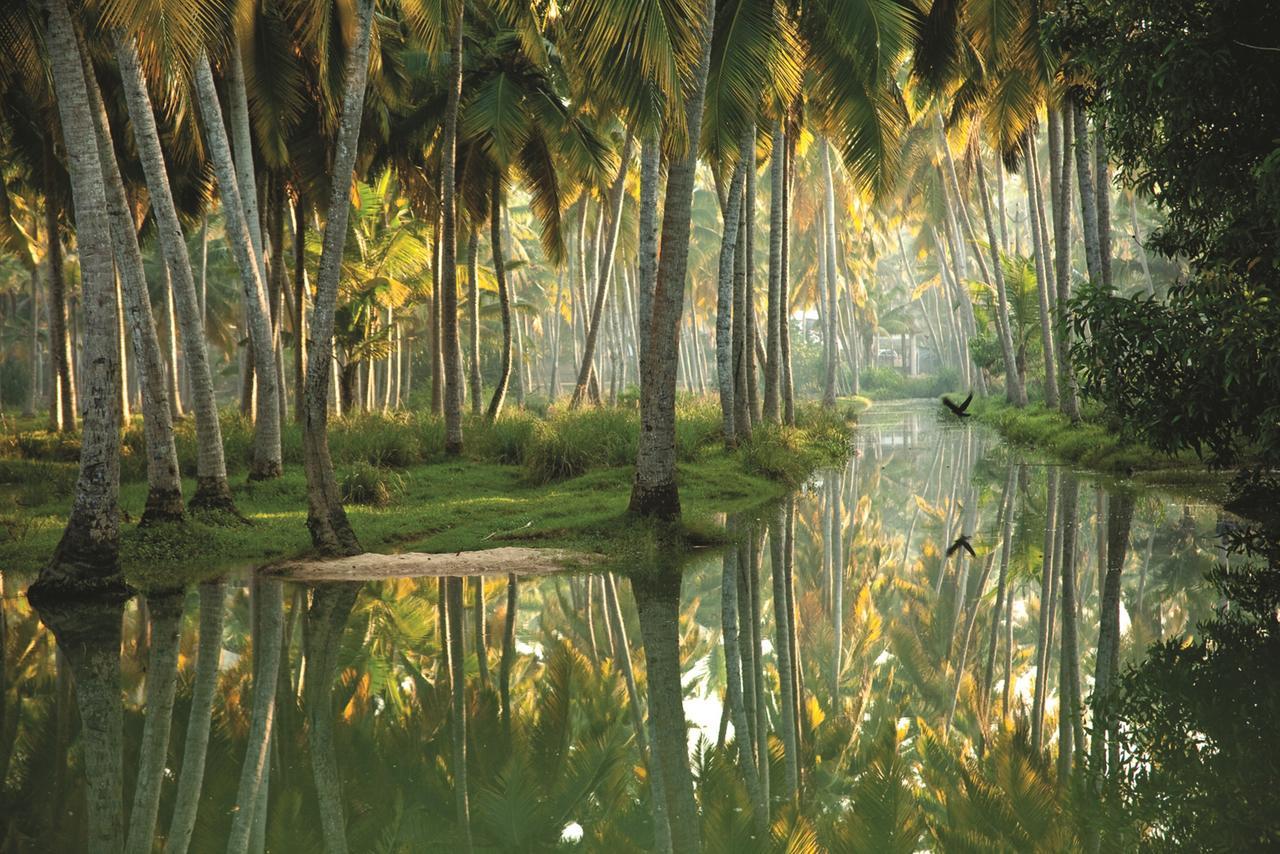 Isola Di Cocco Ayurvedic Beach Resort Poovar Exterior foto